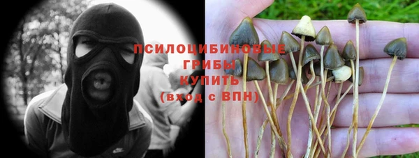 мет Алексин