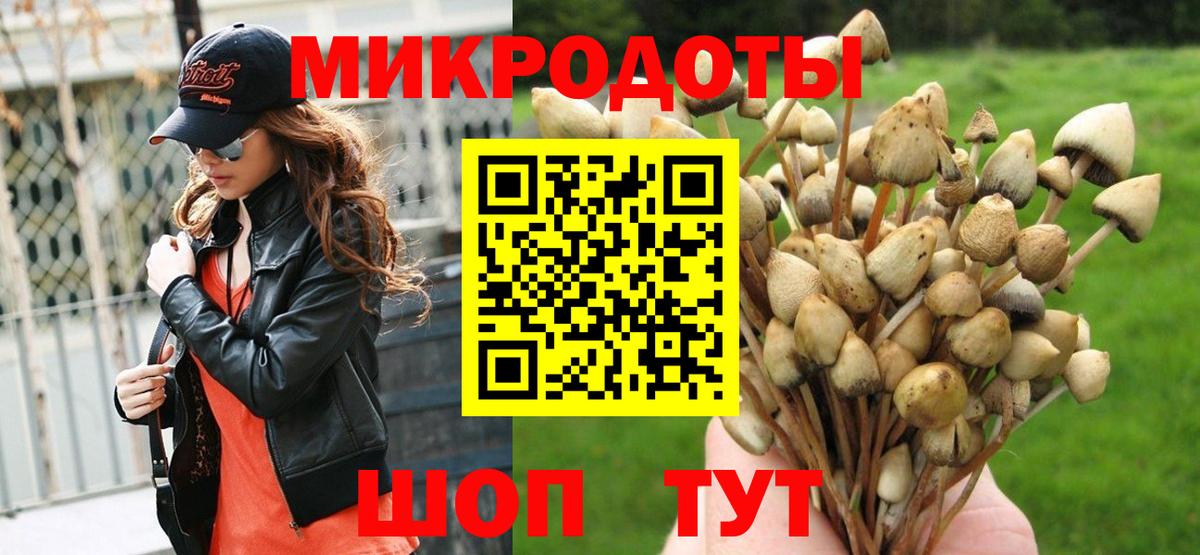 Псилоцибиновые грибы GOLDEN TEACHER  Вход с VPN  Славгород 